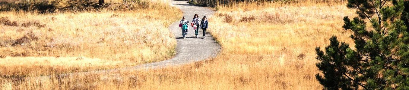 group walking on path through meadow